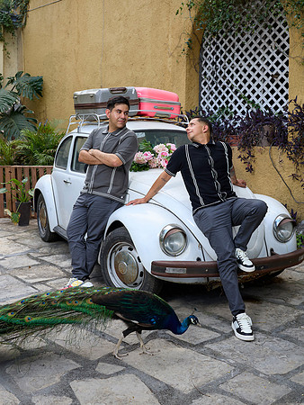 #2934 JORGE ALBERTO (PAREJA JUNCAL) BENJI_BAM1624