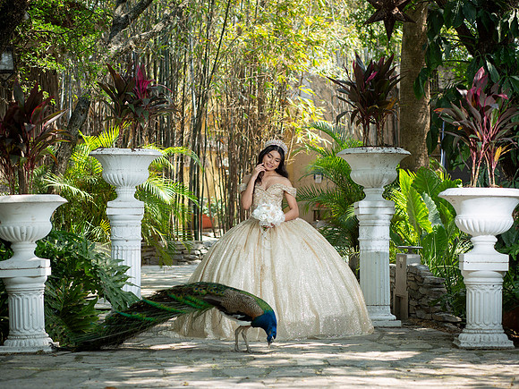 #25729 CRISTINA ELIZABETH-4420