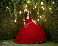 IVONE ZALETA #27251_ED-8380
