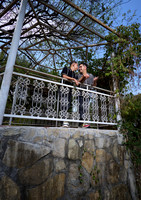 #2934 JORGE ALBERTO (PAREJA JUNCAL) BENJI_BAM1571