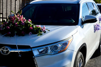 _MA_6445--Alondra--