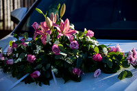 _MA_6444--Alondra--