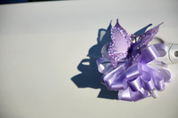 _MA_6448--Alondra--