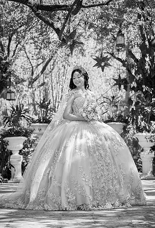 #2964 ROSA ISELA (DAYANA)_MG_3198