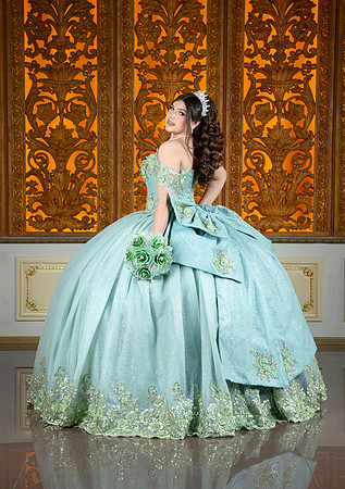 #27317 MARIA CRISTINA (XV FORMAL)-5895