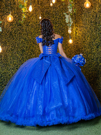 #26682 ROCIO ROSAS (XV FORMAL)-0063