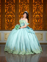 #27317 MARIA CRISTINA (XV FORMAL)-5893