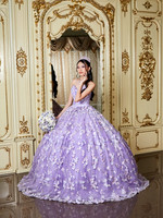 ALEJANDRA (XV) sin título-2350