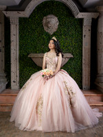 #27521 DELIA CELESTINO (XV FORMAL)-6942