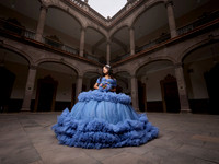 #3031 DIANA ALCOCER (XV FORMAL PALACIO DE GOBIERNO) BENJI