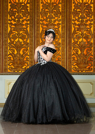 6X8.5 #27186 MARIA VAZQUEZ (XV FORMAL)-9043