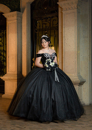 6X8.5 #27186 MARIA VAZQUEZ (XV FORMAL)-9100