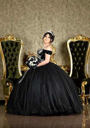6X8.5 #27186 MARIA VAZQUEZ (XV FORMAL)-9162