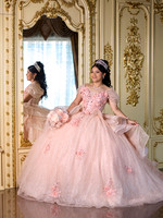 #27187PATRICIA SAUCEDO XV (BENJI)_BAM0011
