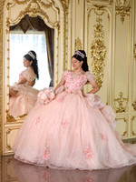 #27187PATRICIA SAUCEDO XV (BENJI)_BAM0016