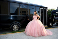 _HA_2011--DALIA--