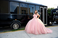 _HA_2012--DALIA--