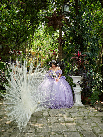 07-05-2026-#16936-MARTHA LETICIA(XV)-_MG_4922