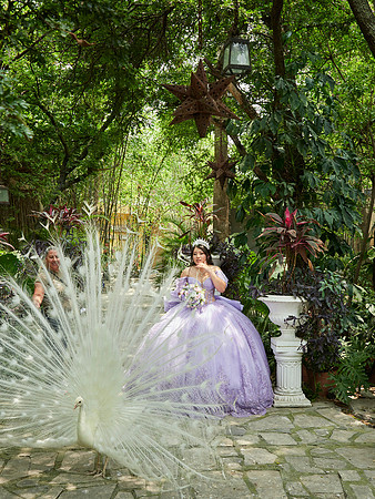 07-05-2026-#16936-MARTHA LETICIA(XV)-_MG_4923