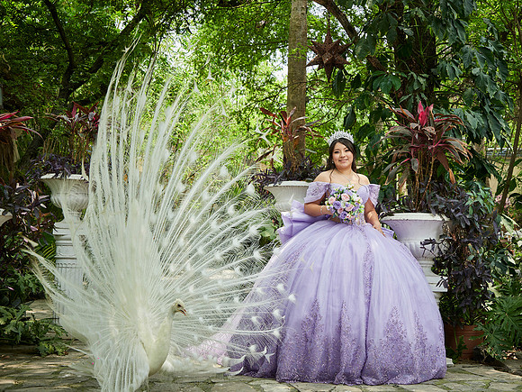 07-05-2026-#16936-MARTHA LETICIA(XV)-_MG_4932