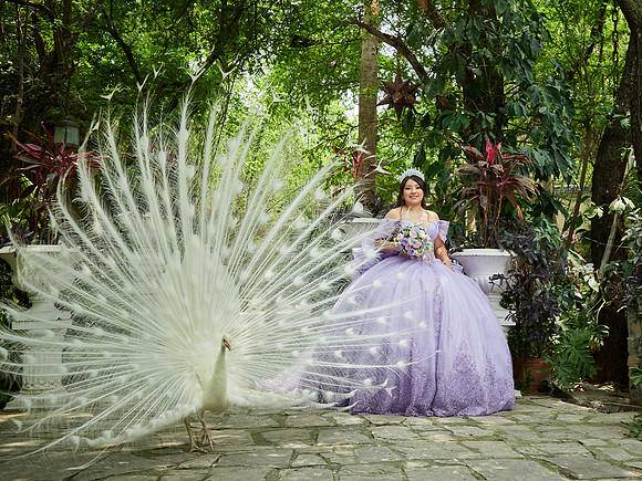 07-05-2026-#16936-MARTHA LETICIA(XV)-_MG_4933