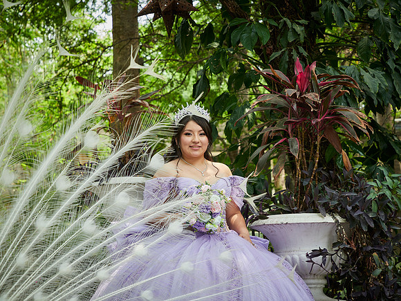 07-05-2026-#16936-MARTHA LETICIA(XV)-_MG_4936