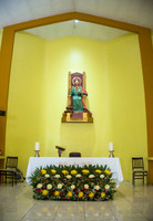 _MG_8449