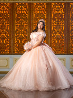 #27262 ALMA GUAJARDO (XV FORMAL) -3575