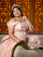 #27262 ALMA GUAJARDO (XV FORMAL) -3593