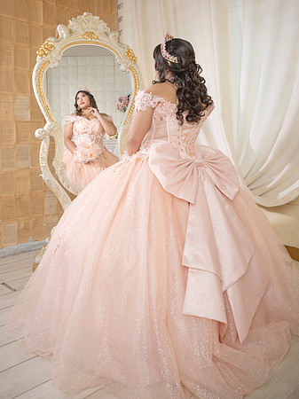 #27262 ALMA GUAJARDO (XV FORMAL) -3610
