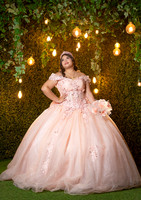 6x8.5 #27262 ALMA GUAJARDO (XV FORMAL) -3661