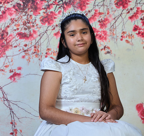 _D0A9704--FLOR IDALIA #9184--17-07-26