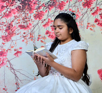 _D0A9708--FLOR IDALIA #9184--17-07-26