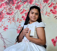 _D0A9713--FLOR IDALIA #9184--17-07-26