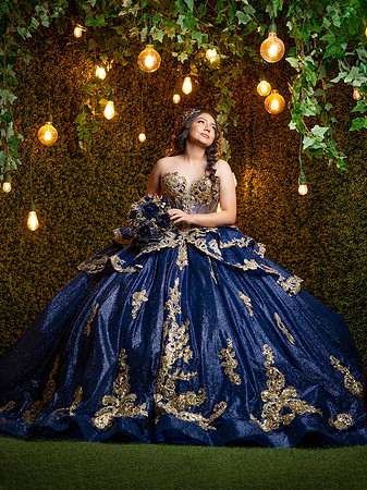 #27020 ROSA REYNA (XV FORMAL)-4263