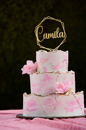 _HA_0129--CAMI--