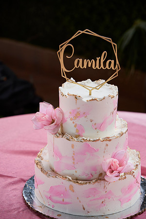 _HA_0131--CAMI--