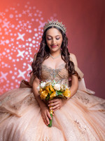 #27380 GABRIELA VARGAS (XV FORMAL EN ESTUDIO)
