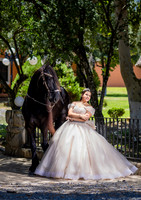 6x8.5 #3038 VANESSA DE OSIO_ED-5575
