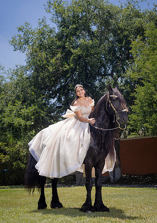 6x8.5 #3038 VANESSA DE OSIO_ED-5699