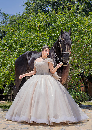 6x8.5 #3038 VANESSA DE OSIO_ED-5462