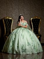 #27051 RUBI ESMERALDA (XV FORMAL)-8182
