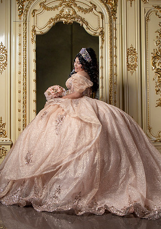 6x8.5 #27139 KARINA TORRES (SESION XV FORMAL)-9911