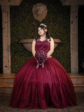 #27493 LUZ MARIA (XV FORMAL)-7574