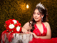 6X8 #27794 DANIELA CAVAZOS (XV FORMAL)-1873