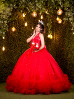 6X8 #27794 DANIELA CAVAZOS (XV FORMAL)-1862