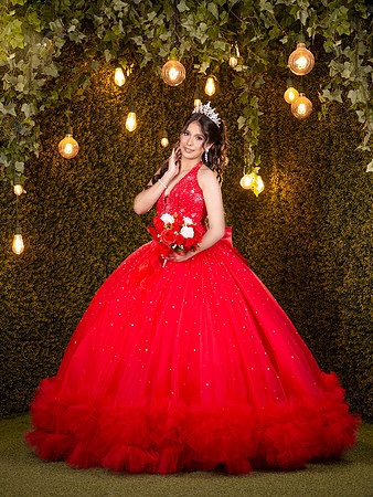 6X8 #27794 DANIELA CAVAZOS (XV FORMAL)-1862