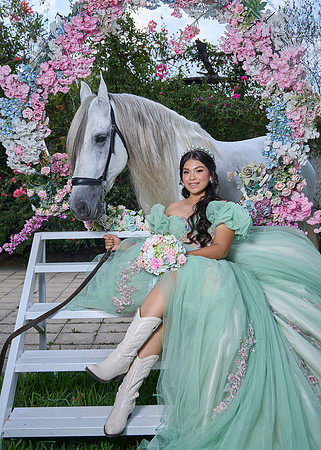 #27145 SARA SOFÍA ( XV SWEET FORMAL CASA DEL RETRATO)_BAM2059