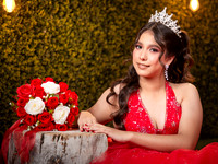 6X8 #27794 DANIELA CAVAZOS (XV FORMAL)-1869