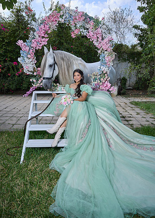 #27145 SARA SOFÍA ( XV SWEET FORMAL CASA DEL RETRATO)_BAM2058